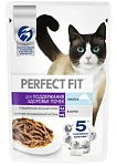 Perfect Fit Здоровье почек для кошек (Лосось в соусе)